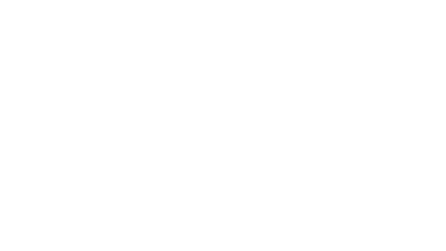 BORELA STUDIO interior