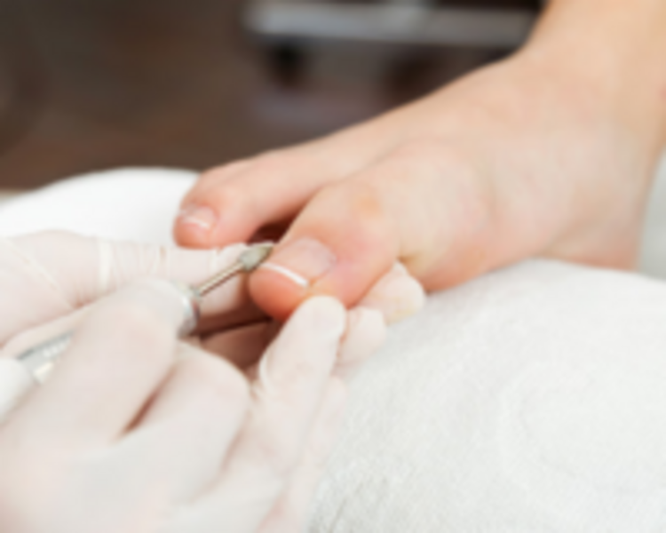Pedicuria 
