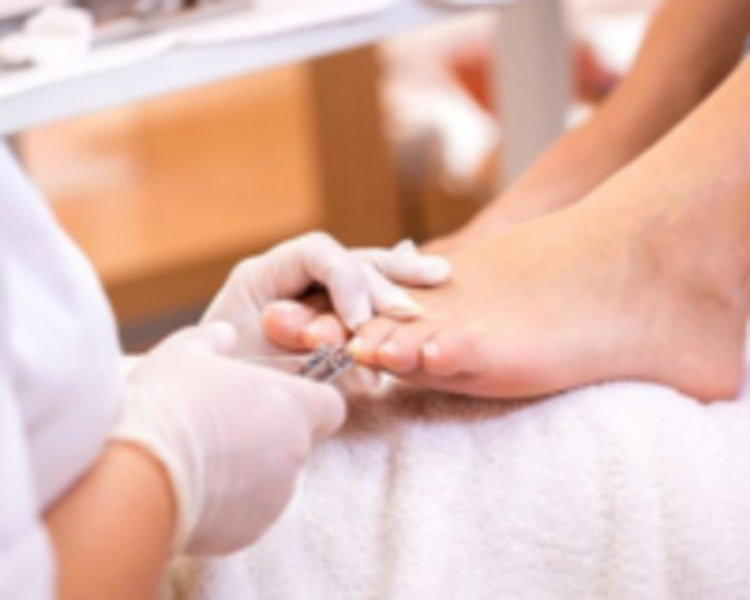 Pedicuria 