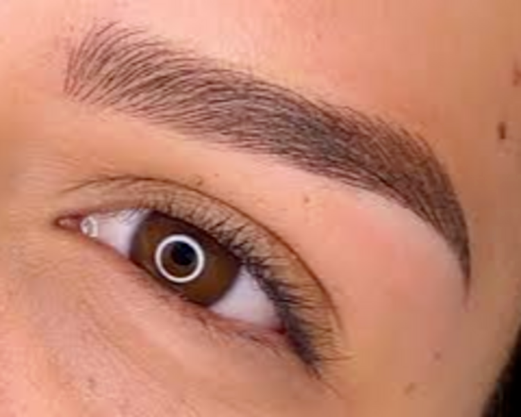 Microshading (Cejas efecto polvo)