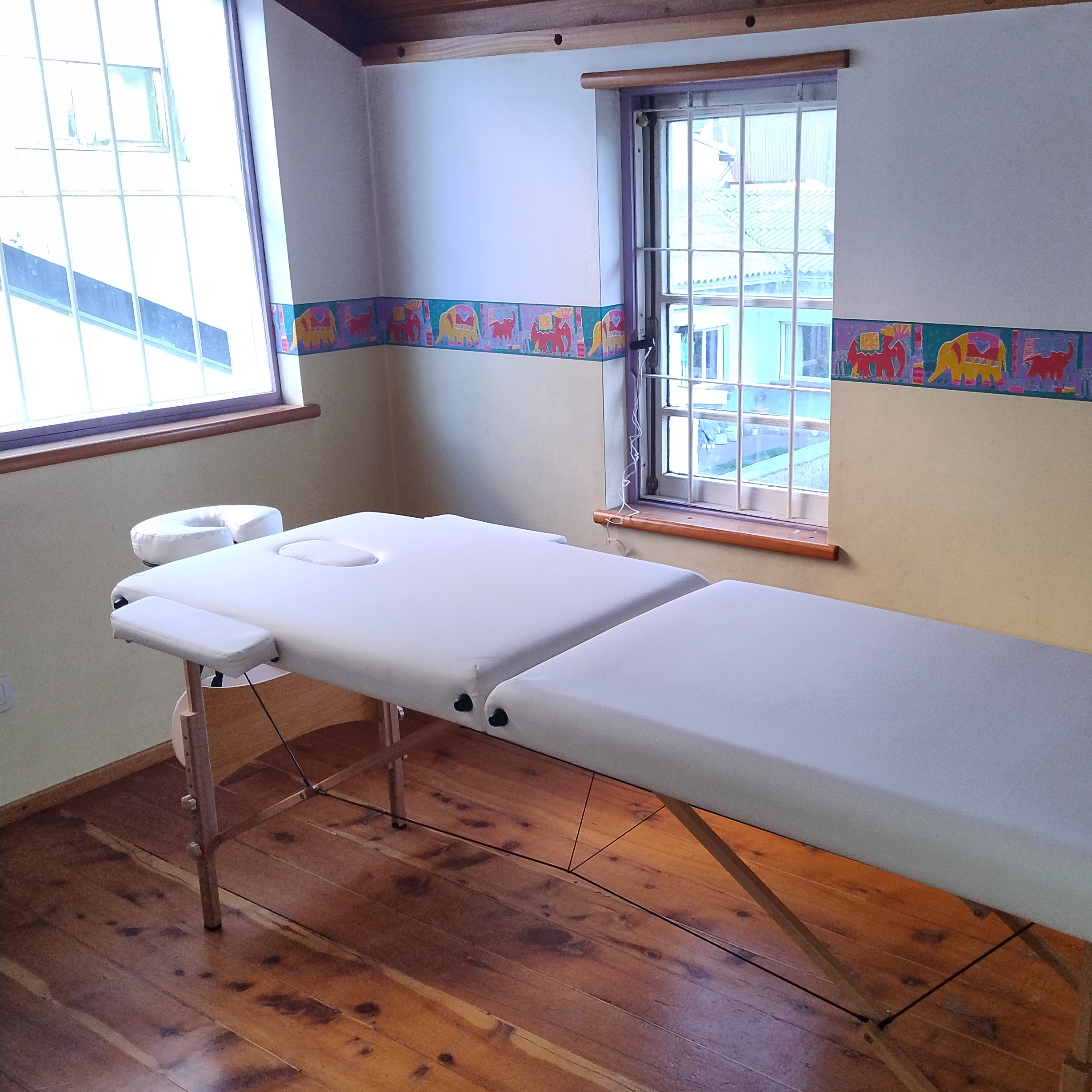 Gabinete de los Elefantitos 1er piso