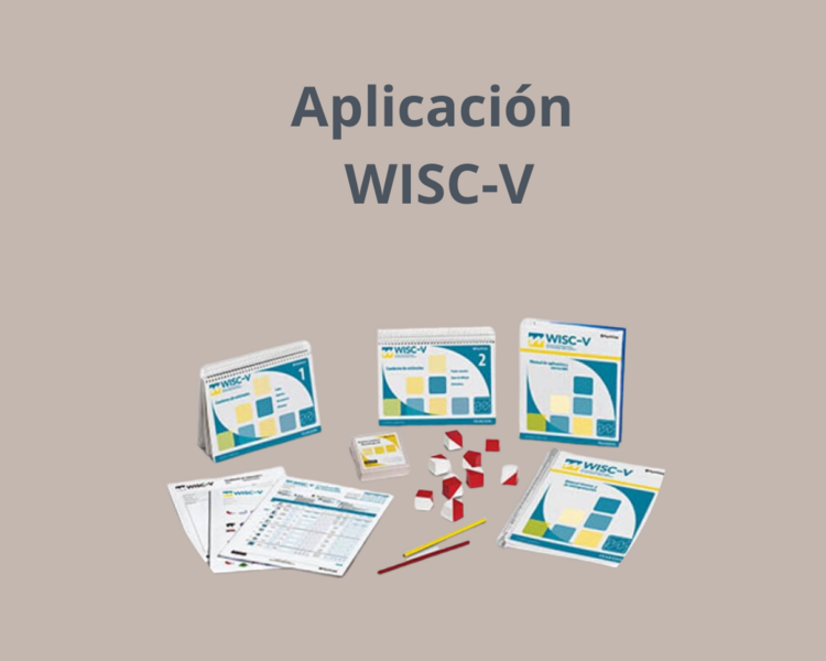Evaluación del desarrollo cognitivo (WISC-V)