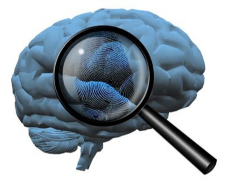 Peritaje Psicológico Forense