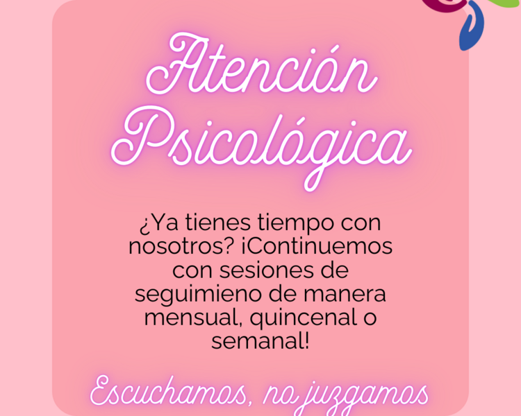 Consulta subsecuente