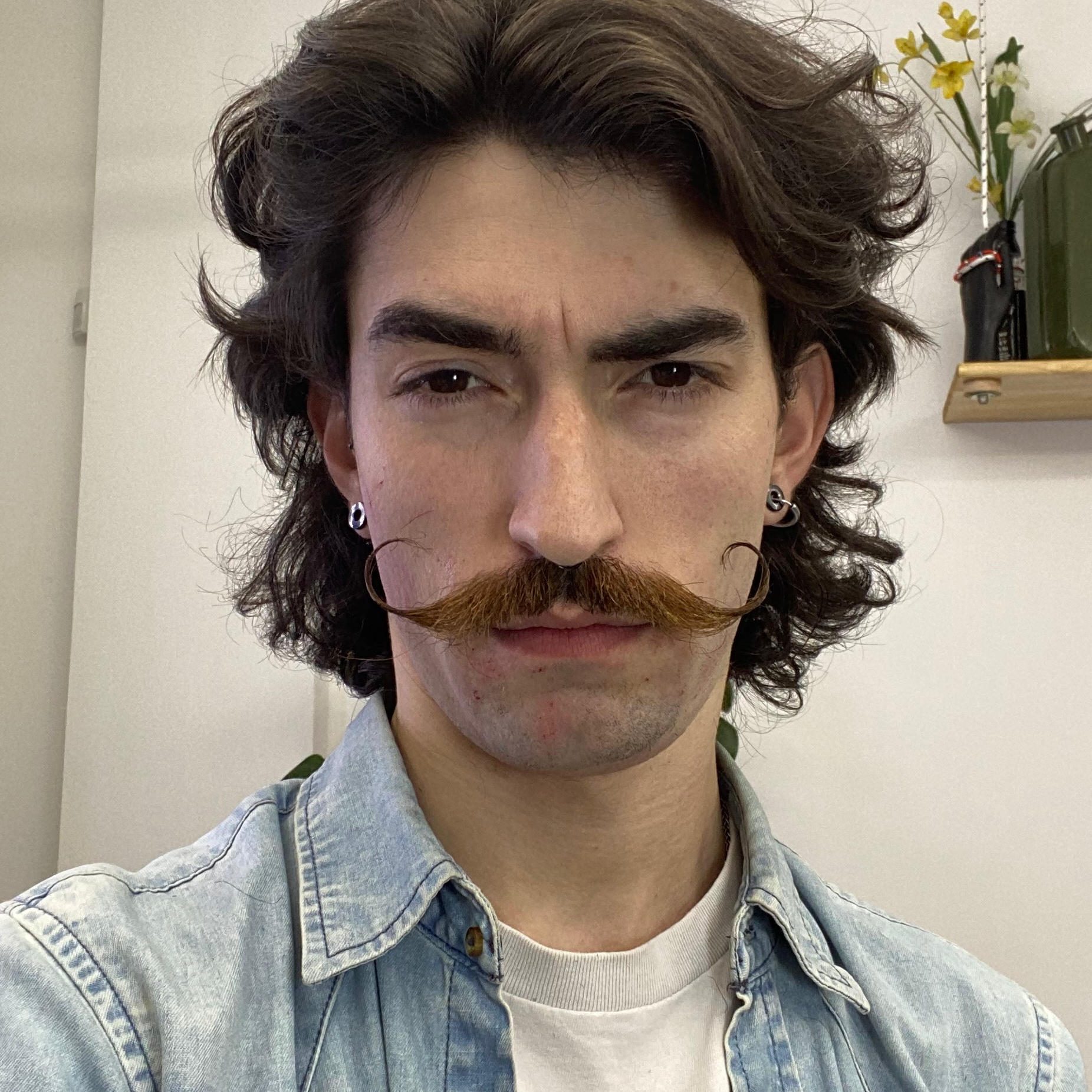 Ariel Nicolas