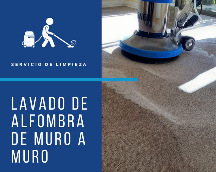 lavado alfombra 1 habitación