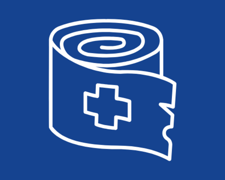 Cambio de Vendaje Canino