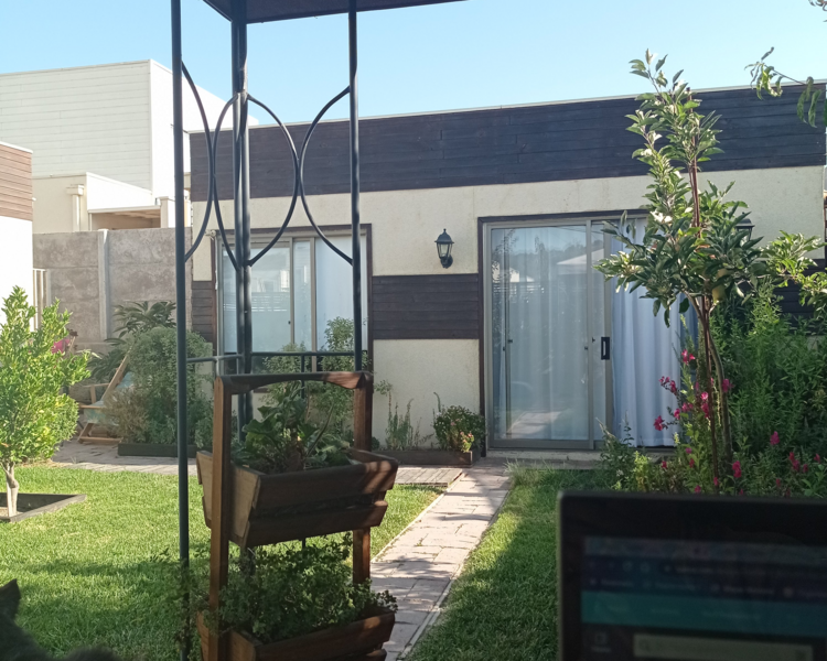 1 Sesión de Reiki Presencial/on line