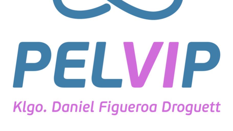 PELVIP TORREMEDICA interior