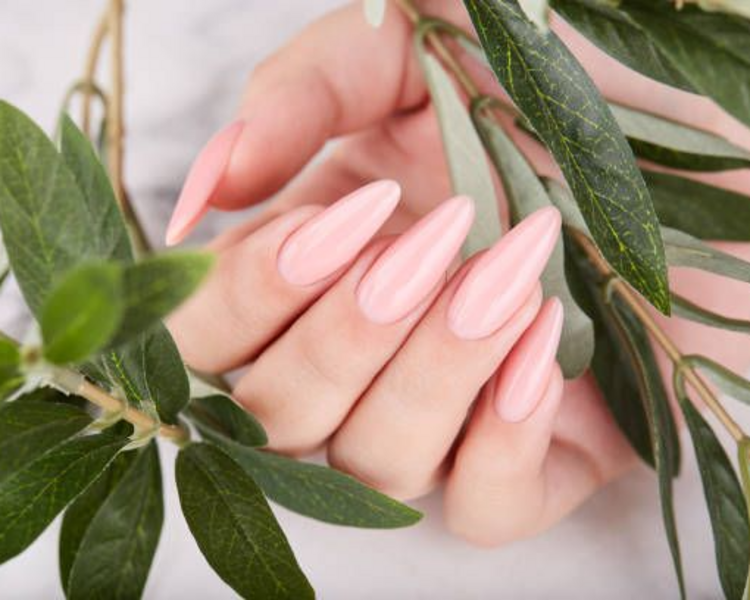 SET Polygel + color en gel