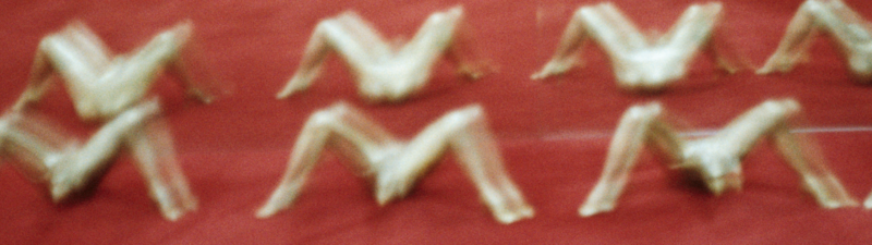 Negocio de BARBARA SANCHEZ KANE banner