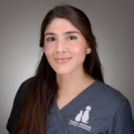 Dra. Laura Cortés Fuentes photo
