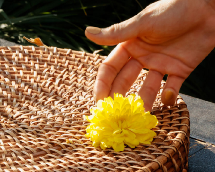 Mini Facial con Velo de Aloe Vera