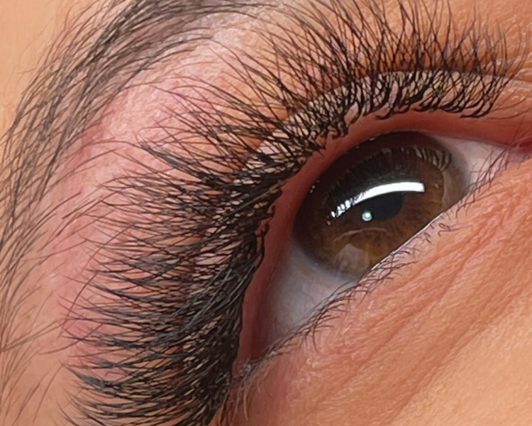 VOLUMEN ARGENTINO W4D FIBRAS TECNOLOGICAS 