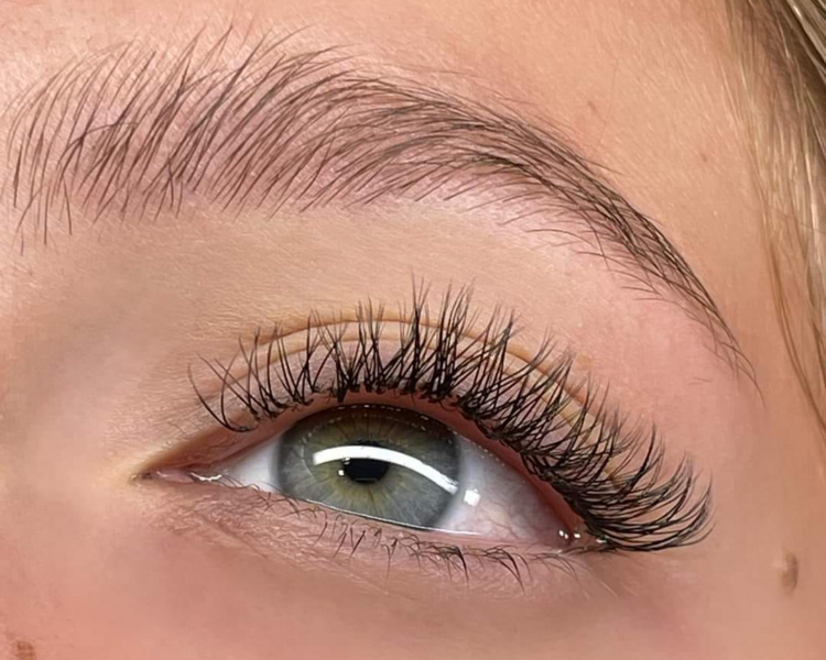 VOLUMEN BRASILERO YY FIBRAS TECNOLOGICAS 