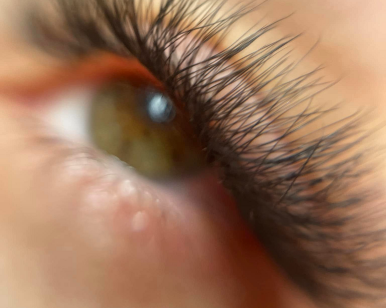 VOLUMEN COLOMBIANO W5D FIBRAS TECNOLOGICAS 