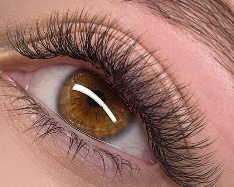 VOLUMEN GRIEGO W3D FIBRAS TECNOLOGICAS 