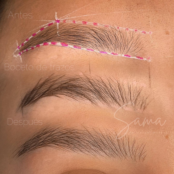 Retoque Microblading