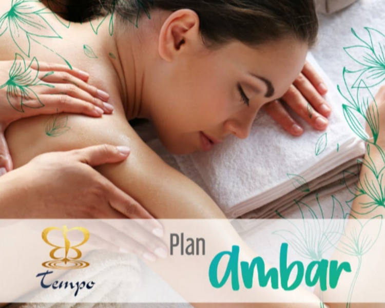 Plan Ambar (Individual)