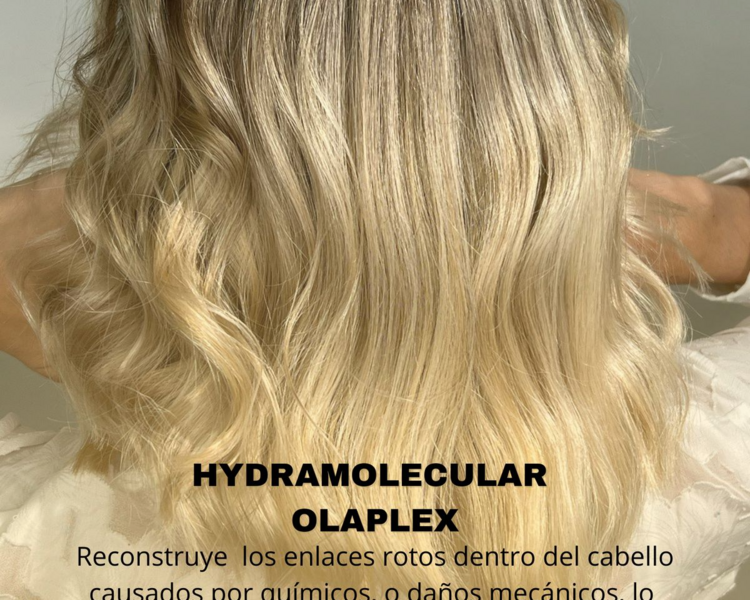 HYDRA MOLECULAR OLAPLEX (INCLUYE CEPILLADO)