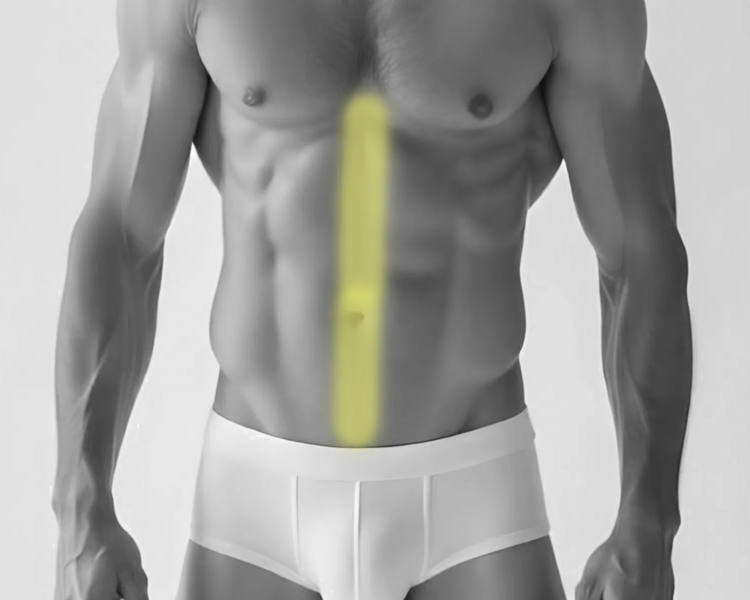 Pack: Depilación láser línea media + línea alba hombre (6 sesiones + 2 sesiones GRATIS)