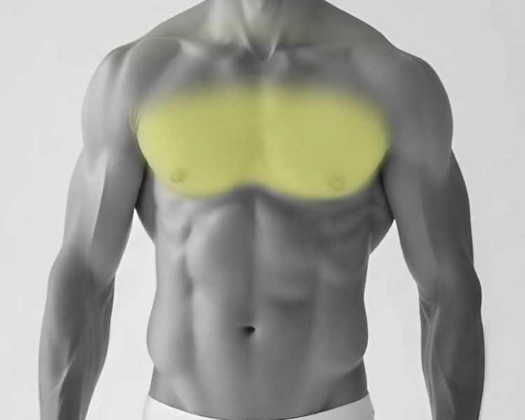 Pack: Depilación láser espalda completa + pecho + abdomen hombre (6 sesiones + 2 sesiones GRATIS)