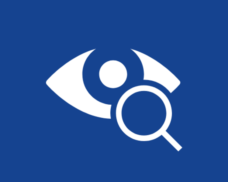 Consulta Oftalmología Felino