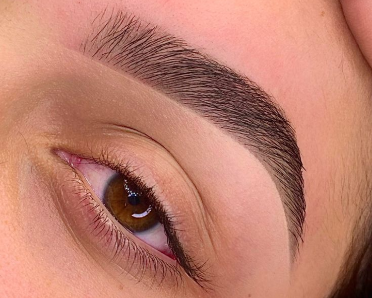 Perfilado de cejas + Sombreado con Henna o tintura