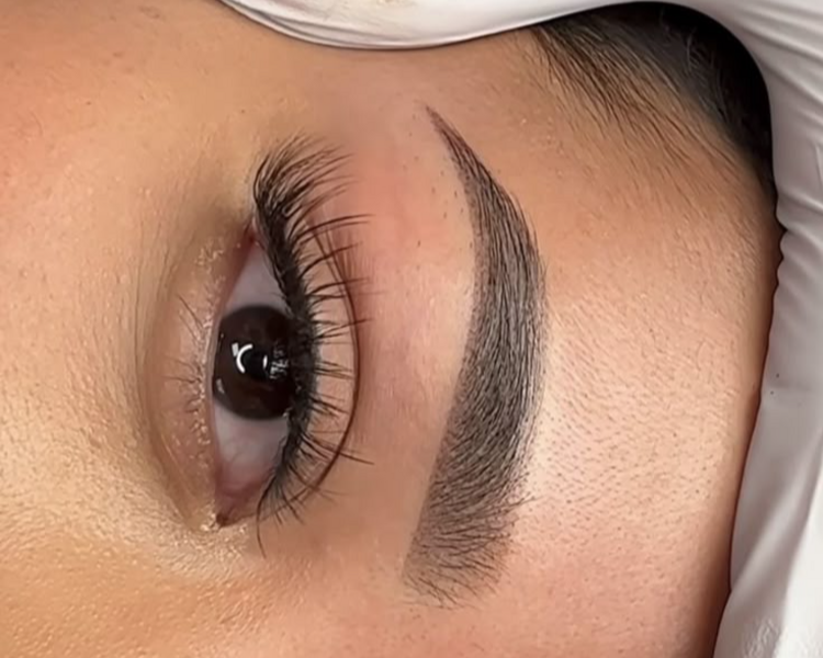 Microshading / Microblading / Técnica híbrida de cejas