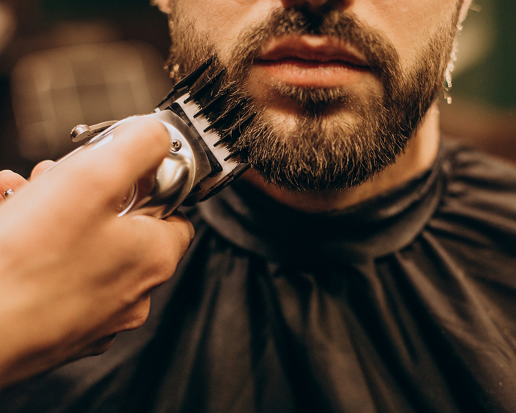 Visajismo de Barba