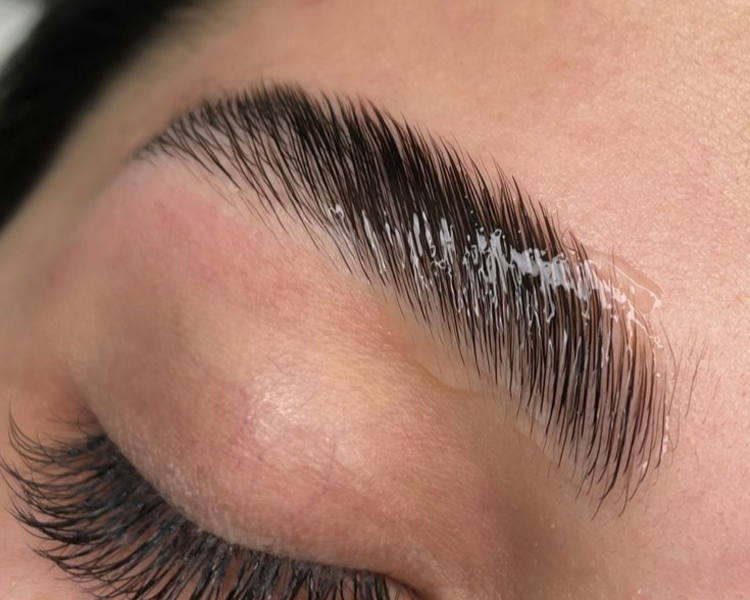 Laminado + Nutrición