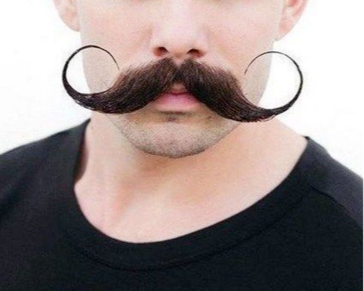 Arreglo de Bigote