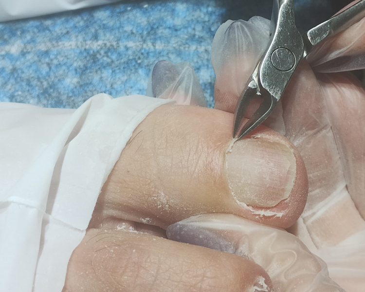 PEDICURE SPA (SIN ESMALTADO)