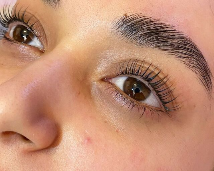 LAMINADO+MODELADO+NUTRICIÓN DE CEJAS