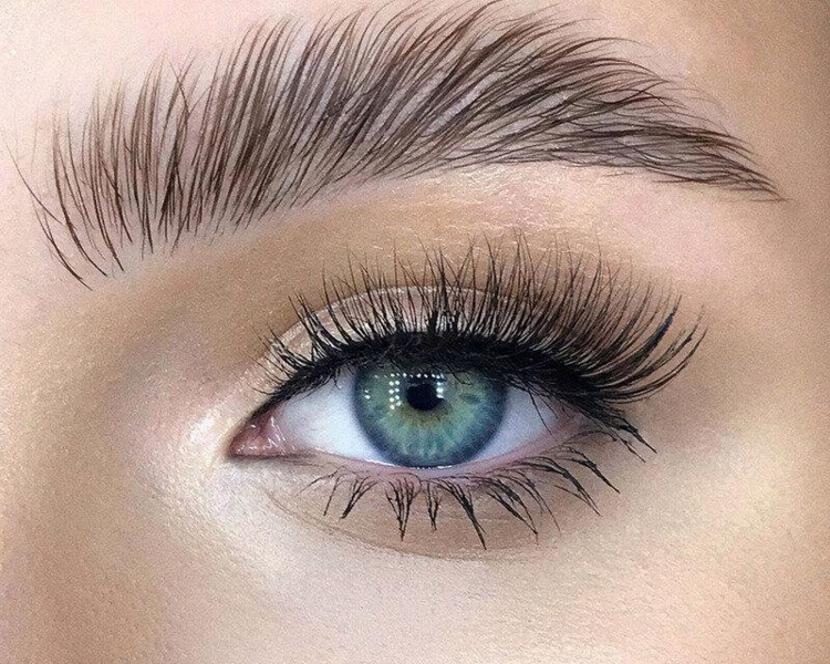 Laminado de cejas 