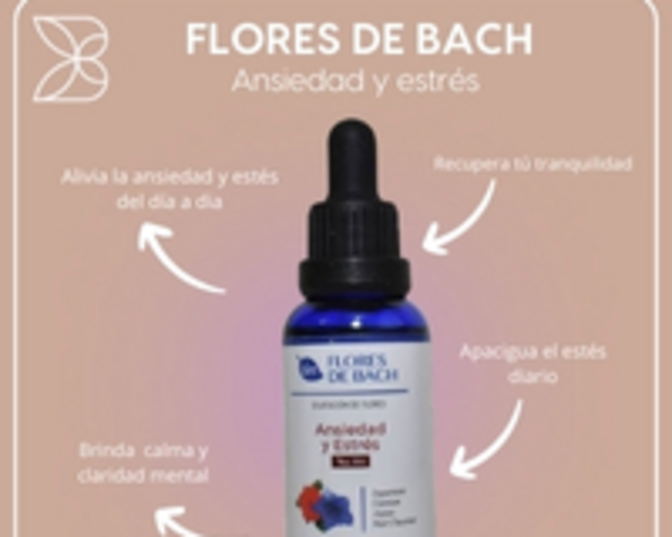 FLORES DE BACH