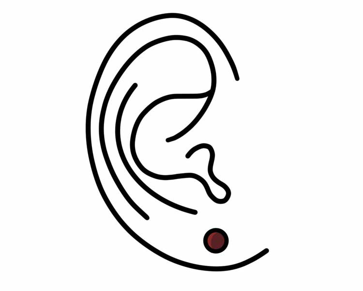 Piercing de Lóbulo par