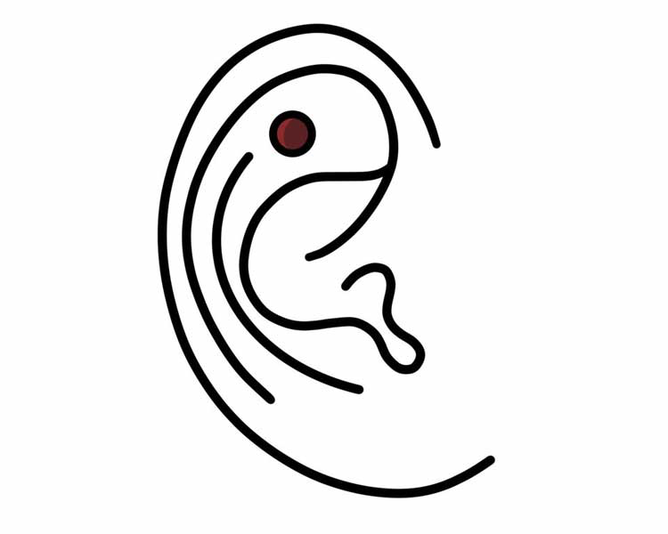 Flat Piercing