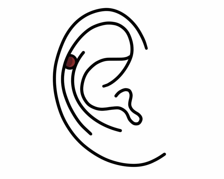 Helix Piercing
