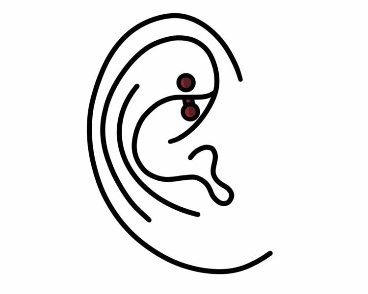 Rook  Piercing