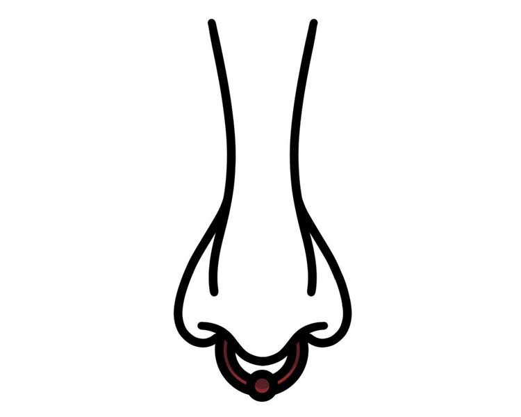 Septum Piercing