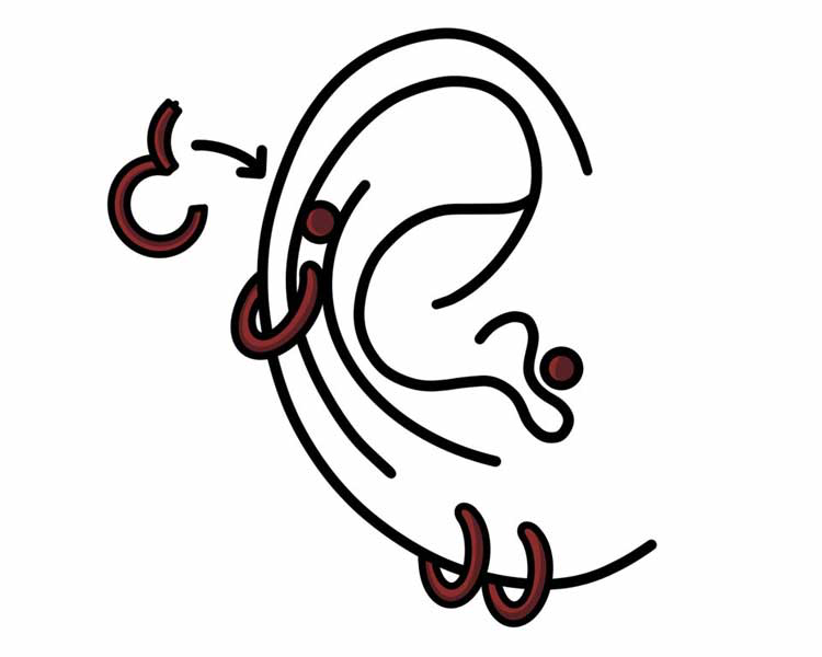 Cambio de joyería/inserción
