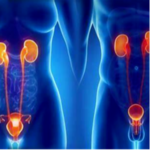 Urologia photo