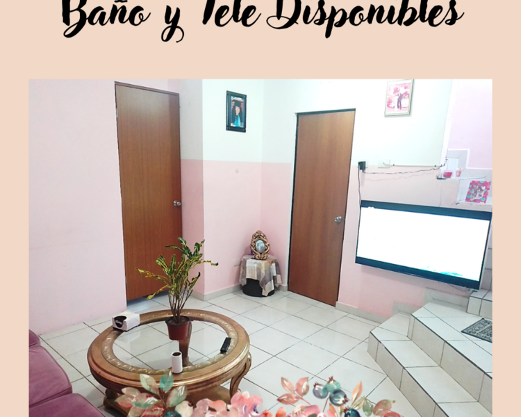 SEGUIMIENTO Consulta Individual