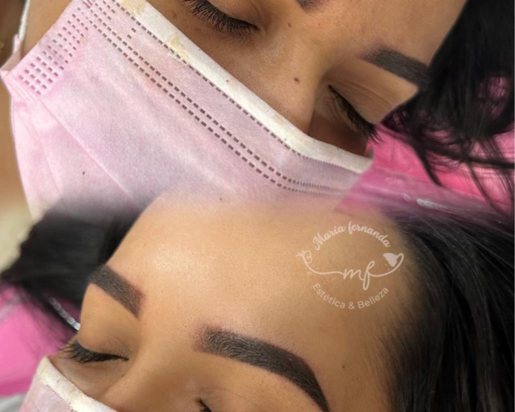 Retoque De Micropigmentación De Cejas (Anual)