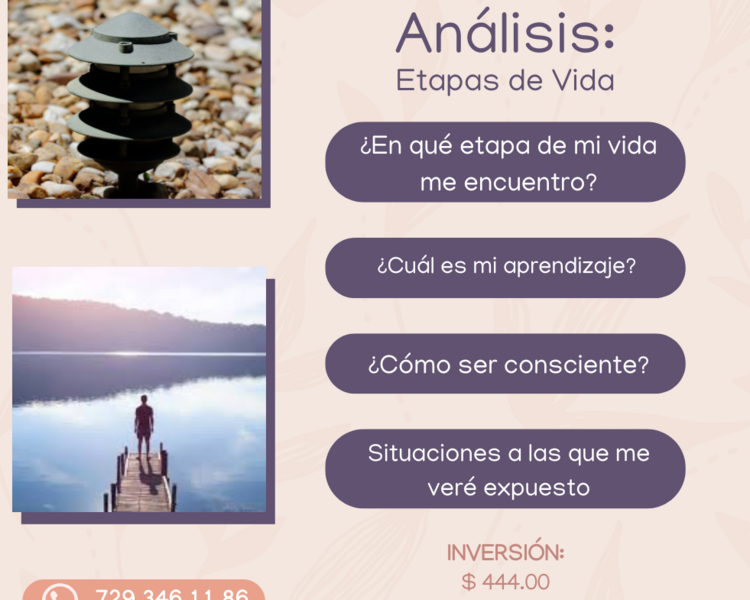Análisis numerológico, Etapas de la Vida