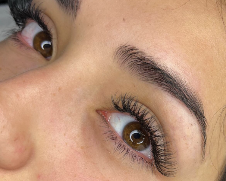 Técnica Volumen Tecnológico