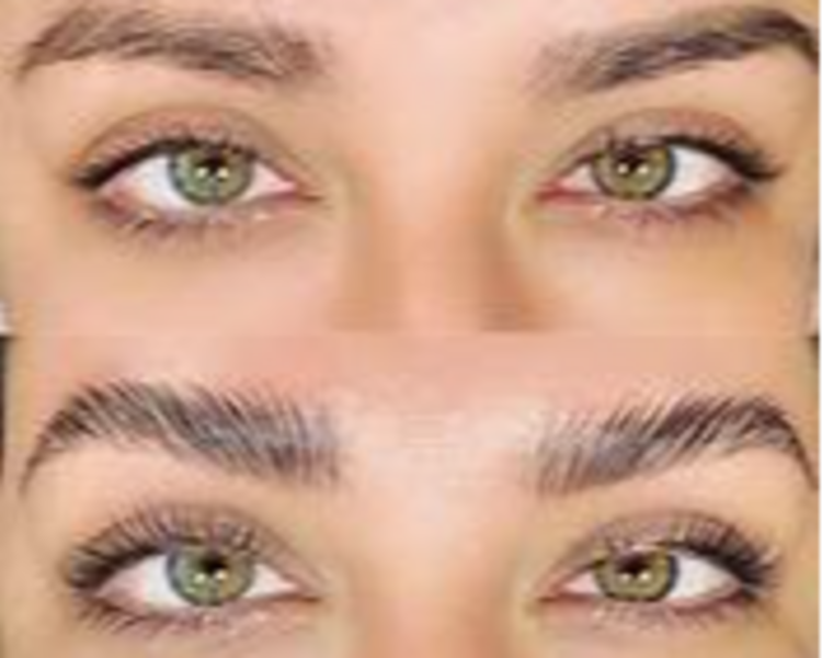 Laminado y Nutrición de cejas  (Con Bianca)