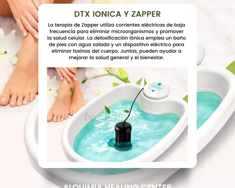 Zapper y Detoxificacion Iónica