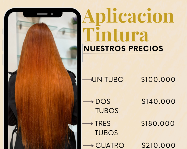 Aplicación de Tintura